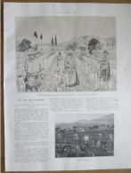 1922 GRASSE  La Cité Des Parfums   Cueillette  Des Tubéreuses  Roses De Mai  FLEURS Parfum - Non Classés