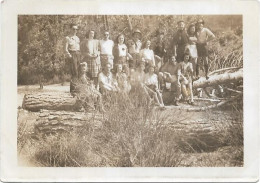 PHOTO - Groupes D'amis Assis Sur Un Tronc D'arbre à LE THOLONET En 1946  - Ft 9 X 6,5 Cm - Anonymous Persons