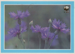 FLOWERS Vintage Postcard CPSM #PAR197.GB - Fiori