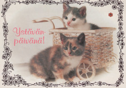 CAT KITTY Animals Vintage Postcard CPSM #PAM553.GB - Chats