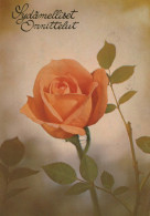 FLEURS Vintage Carte Postale CPSM #PAS341.FR - Flowers