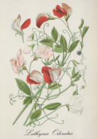 FLEURS Vintage Carte Postale CPSM #PAR319.FR - Flowers