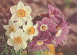 FLEURS Vintage Carte Postale CPSM #PAR440.FR - Flowers