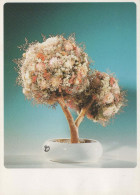 FLEURS Vintage Carte Postale CPSM #PAR620.FR - Flowers