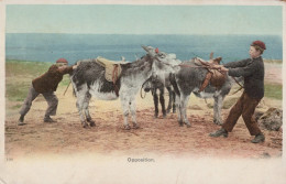 DONKEY Animals Vintage Antique Old CPA Postcard #PAA326.GB - Anes