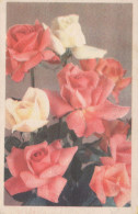 FLOWERS Vintage Postcard CPA #PKE500.GB - Fleurs