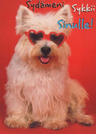 DOG Animals Vintage Postcard CPSM #PBQ449.GB - Hunde