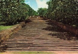 SRI LANKA (CEYLON) - Stone Strairway - Mihintale - Vue Sur L'escalier - Animé - Carte Postale - Sri Lanka (Ceylon)