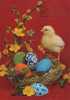 EASTER CHICKEN EGG Vintage Postcard CPSM #PBP113.GB - Easter