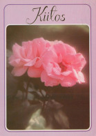 FLORES Vintage Tarjeta Postal CPSM #PAS100.ES - Flowers