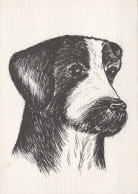 PERRO Animales Vintage Tarjeta Postal CPSM #PAN756.ES - Cani