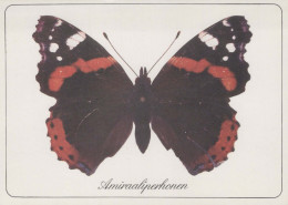 PAPILLONS Animaux Vintage Carte Postale CPSM #PBS415.FR - Schmetterlinge