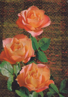 FLOWERS Vintage Ansichtskarte Postkarte CPSM #PAR981.DE - Fiori