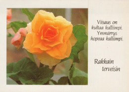 FLOWERS Vintage Ansichtskarte Postkarte CPSM #PAS342.DE - Fiori