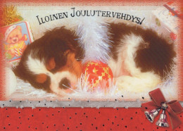 HUND Tier Vintage Ansichtskarte Postkarte CPSM #PAN495.DE - Hunde