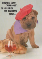 HUND Tier Vintage Ansichtskarte Postkarte CPSM #PAN758.DE - Hunde