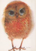 VOGEL Tier Vintage Ansichtskarte Postkarte CPSM #PAM687.DE - Birds
