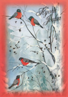 VOGEL Tier Vintage Ansichtskarte Postkarte CPSM #PAM750.DE - Oiseaux