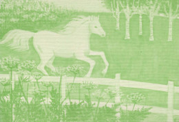 CABALLO Animales Vintage Tarjeta Postal CPSM #PBR886.ES - Paarden