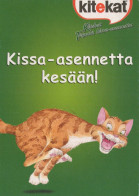 GATO GATITO Animales Vintage Tarjeta Postal CPSM #PBQ968.ES - Chats