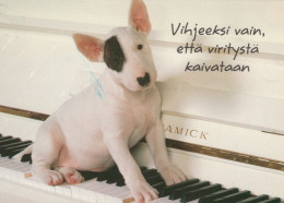 CANE Animale Vintage Cartolina CPSM #PAN691.IT - Hunde