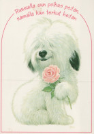 CANE Animale Vintage Cartolina CPSM #PAN825.IT - Hunde