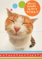 GATTO KITTY Animale Vintage Cartolina CPSM Unposted #PAM244.IT - Chats