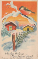 Neujahr Weihnachten VOGEL Vintage Ansichtskarte Postkarte CPSMPF #PKD360.DE - Nouvel An