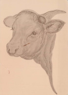 KUH Tier Vintage Ansichtskarte Postkarte CPSM #PBR814.DE - Cows