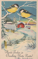 Buon Anno Natale UCCELLO Vintage Cartolina CPSMPF #PKD361.IT - Neujahr