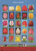 FIORI Vintage Cartolina CPSM #PBZ934.IT - Flowers