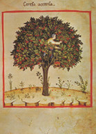 ALBERO Vintage Cartolina CPSM #PBZ994.IT - Trees
