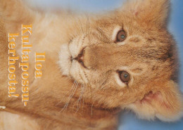 LEONE Animale Vintage Cartolina CPSM #PBS039.IT - Lions