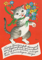 GATTO KITTY Animale Vintage Cartolina CPSM #PBQ971.IT - Katzen