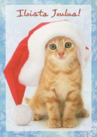 GATTO KITTY Animale Vintage Cartolina CPSM #PBQ908.IT - Cats