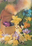 PASQUA POLLO UOVO Vintage Cartolina CPSM #PBP117.IT - Easter