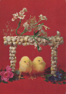 PASQUA POLLO UOVO Vintage Cartolina CPSM #PBO677.IT - Easter