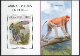 Mozambique - 2018 - Birds - Yv Bf 1361 - Autres & Non Classés