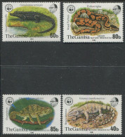 Gambia:Unused Stamps Serie Lizards, Crocodile And Snake, 1981, MNH - Sonstige & Ohne Zuordnung