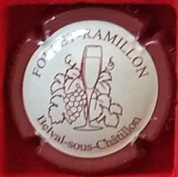 P53 FOLLET RAMILLON  2 - Otros & Sin Clasificación