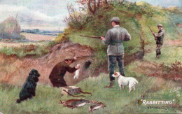 4V5Hy    Chasse Illustrateur Drummond Rabbitting Chasse Du Lapin Au Furet - Chasse
