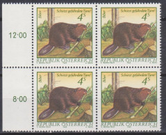 1982 , Mi 1718 ** (1) - 4er Block Postfrisch -  Naturschutz : Gefährdete Tiere - Biber - Nuovi
