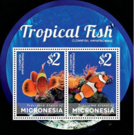Micronesia - 2014 - Tropical Fishes - Yv Bf 261 - Fishes