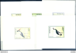 Fauna. Uccelli 1997. Prove Di Lusso. - Sénégal (1960-...)