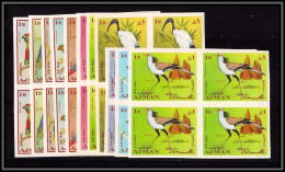 Ajman - 2932b/ N°394/404 B Oiseaux (birds) Perroquets Parrots Ibis Crane Neuf ** MNH Bloc 4 Non Dentelé Imperf - Parrots