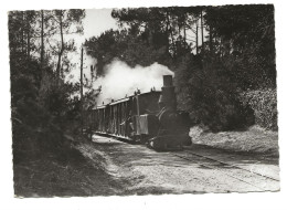 SAINT PALAIS - Le Train En Forêt - Saint-Palais-sur-Mer