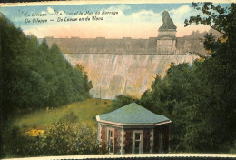 Belgique - Liège -  Gileppe (Barrage) - La Gileppe - Le Lion Et Le Mur Du Barrage - Gileppe (Barrage)