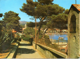 83 Sanary Sur Mer (le Chemin De L'oratoire) - Sanary-sur-Mer