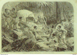 Madagascar Mouvement De Transport En Forêt 1882 - Prenten & Gravure