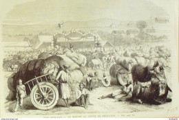 Inde Khangaon Marché Au Coton 1874 - Prenten & Gravure
